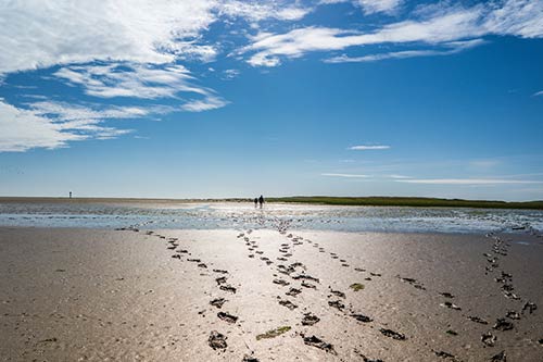 Watt Wanderung